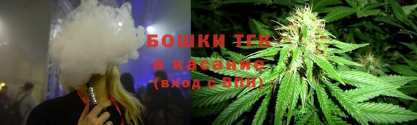 дживик Белокуриха