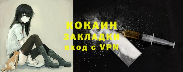 дживик Белокуриха