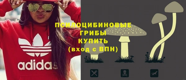 бошки Пролетарск