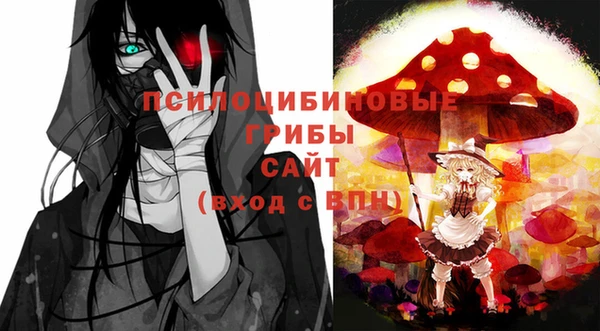 дживик Белокуриха