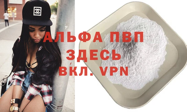 дживик Белокуриха
