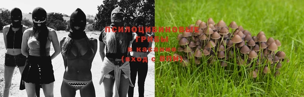 дживик Белокуриха