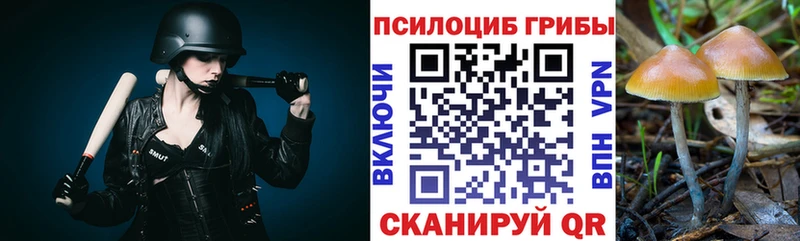 наркота  Городище  blacksprut ссылки  Галлюциногенные грибы Psilocybe 